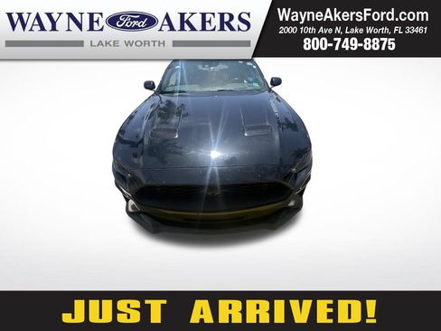 Used 2019 Ford Mustang Premium w/ Equipment Group 201A RWD image 1