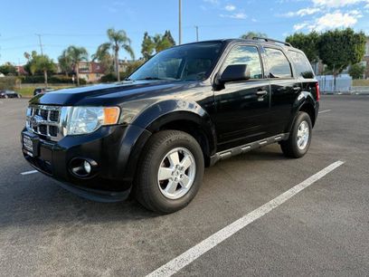 Used 2010 Ford Escape XLT