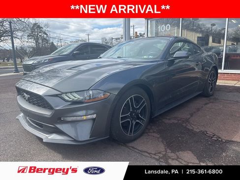 Used 2019 Ford Mustang EcoBoost w/ Equipment Group 101A image 1
