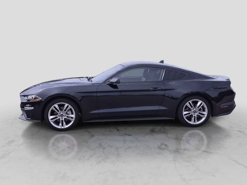 Used 2021 Ford Mustang Premium w/ Equipment Group 201A RWD image 5