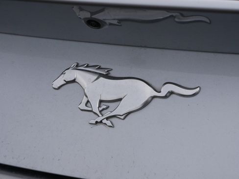 Used 2024 Ford Mustang Premium image 8