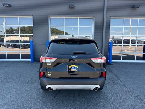 Used 2021 Ford Escape SE AWD/4WD image 3