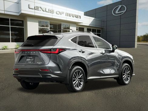 Used 2025 Lexus NX 350h AWD w/ Cold Area Package image 9