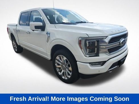Used 2021 Ford F150 Limited image 1
