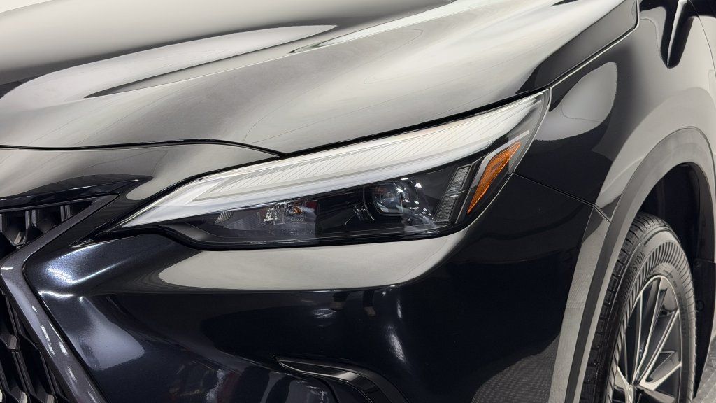 Used 2024 Lexus NX 250 AWD w/ Cold Area Package image 3