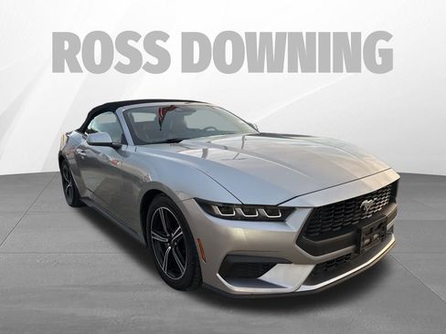 Used 2024 Ford Mustang Premium image 3