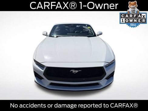 Used 2025 Ford Mustang Premium RWD image 2