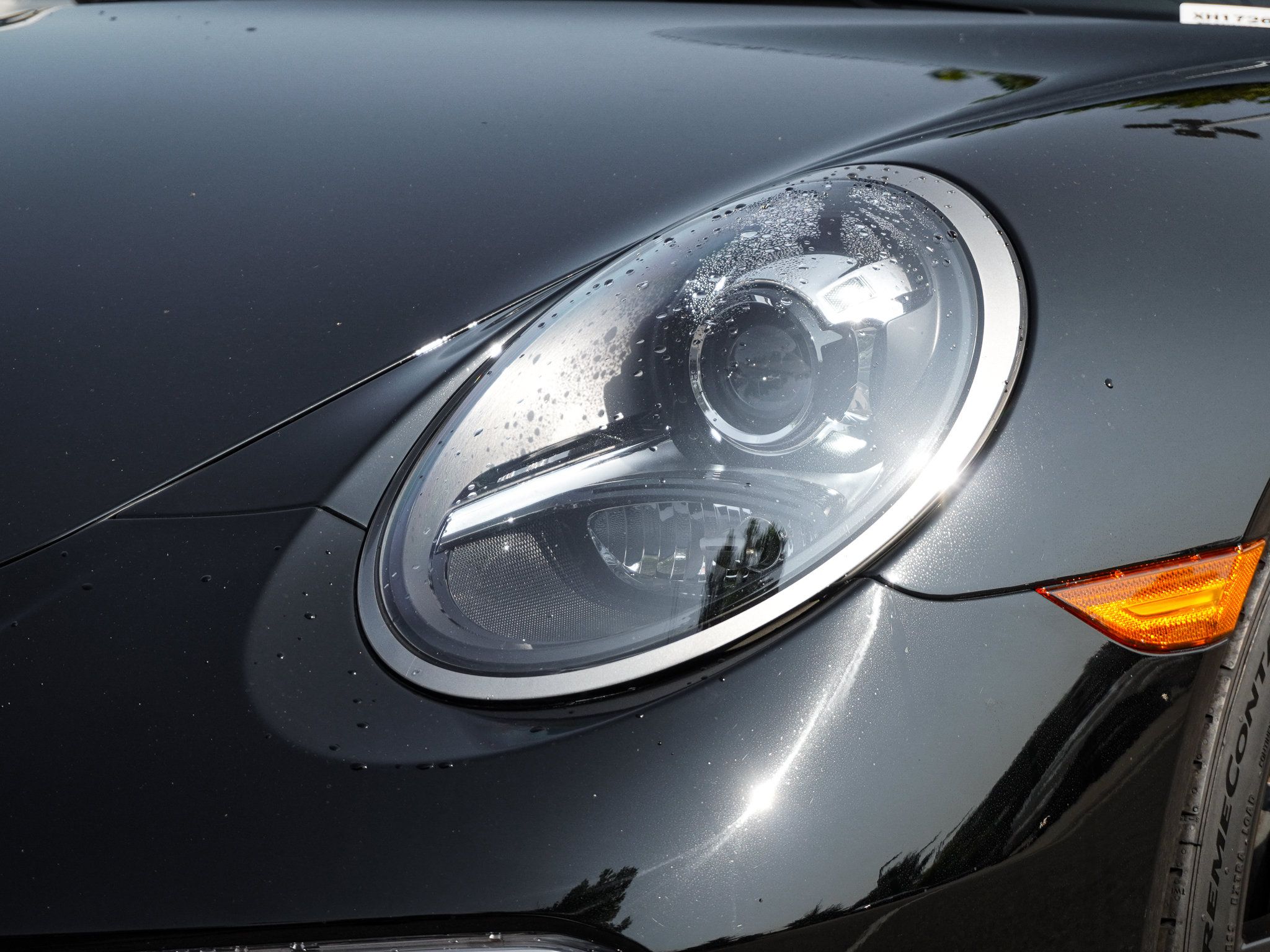 Used 2019 Porsche 911 Carrera RWD image 6