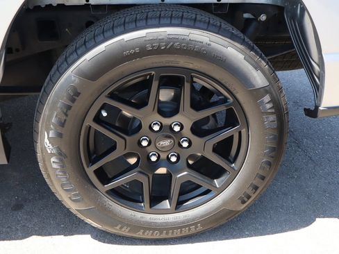 Used 2024 Ford F150 STX w/ STX Black Appearance Package RWD image 13