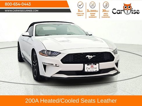 Used 2019 Ford Mustang Premium RWD image 1