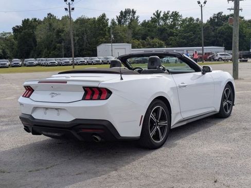 Used 2024 Ford Mustang Premium RWD image 3