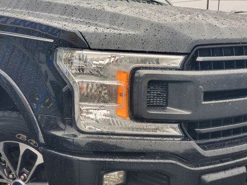 Used 2019 Ford F150 XLT w/ Equipment Group 302A Luxury AWD/4WD image 6