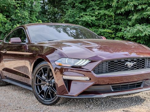 Used 2018 Ford Mustang Coupe w/ Ecoboost Performance Package RWD image 7