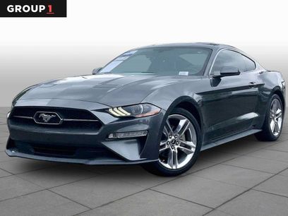 Used 2019 Ford Mustang Premium w/ Equipment Group 201A