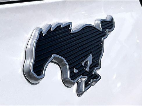 Used 2023 Ford Mustang Mach-E Premium RWD image 30