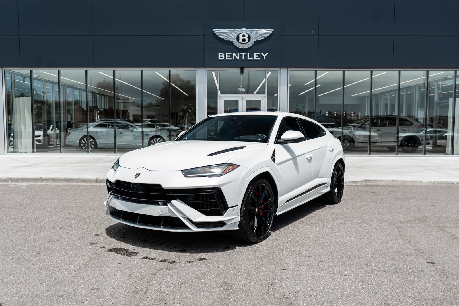 Used 2024 Lamborghini Urus S AWD/4WD image 1