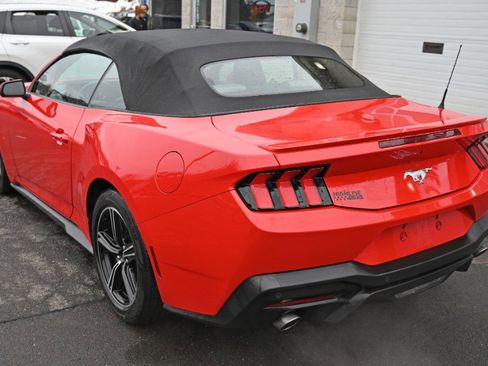 Used 2024 Ford Mustang Premium image 10
