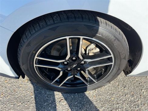 Used 2019 Ford Mustang Coupe w/ Equipment Group 101A image 12