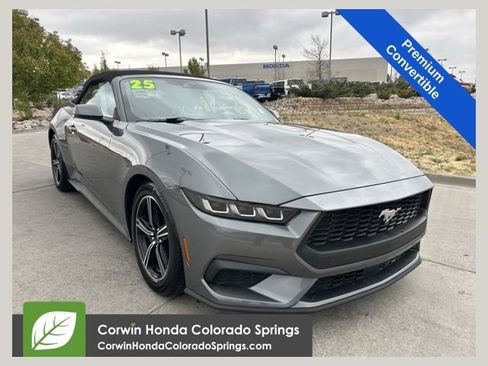 Used 2025 Ford Mustang Premium RWD image 1