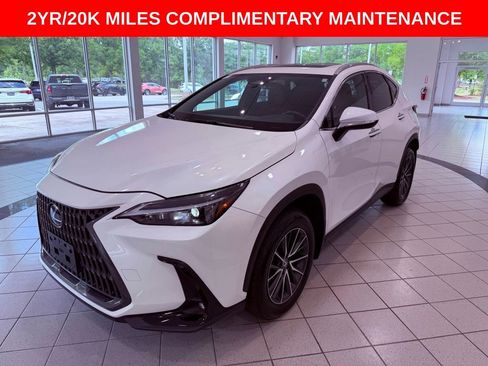 Used 2024 Lexus NX 350 AWD w/ Cold Area Package image 3
