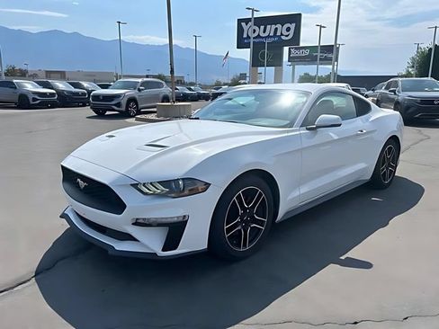 Used 2018 Ford Mustang Premium w/ Equipment Group 201A RWD image 7