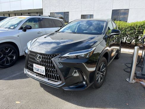 Used 2025 Lexus NX 350h AWD w/ Cold Area Package image 3