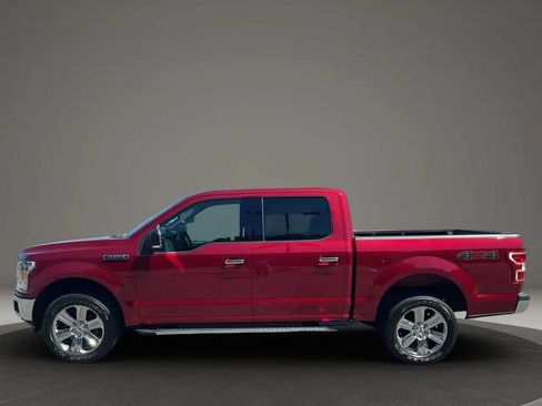 Used 2019 Ford F150 XLT w/ Equipment Group 302A Luxury AWD/4WD image 3