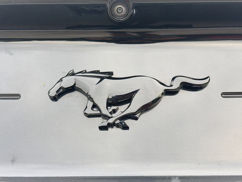 Used 2023 Ford Mustang Premium w/ Equipment Group 201A image 12