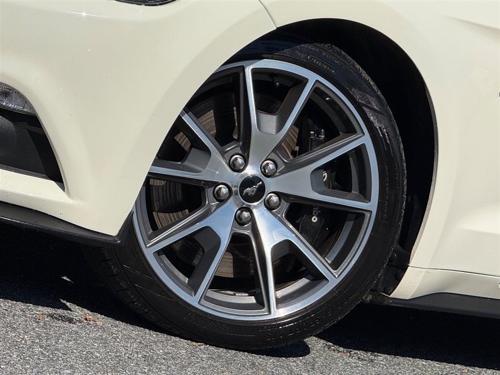 Used 2015 Ford Mustang 50 Years RWD image 5