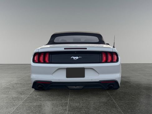 Used 2018 Ford Mustang Premium image 6