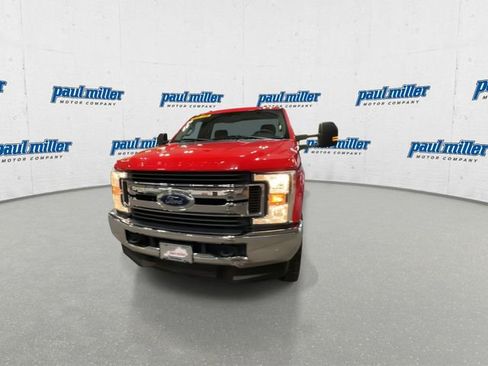 Used 2019 Ford F250 XLT w/ Snow Plow Prep Package image 4