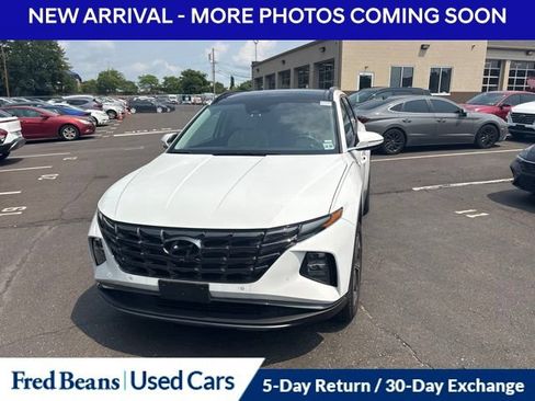 Used 2024 Hyundai Tucson Limited AWD/4WD image 2