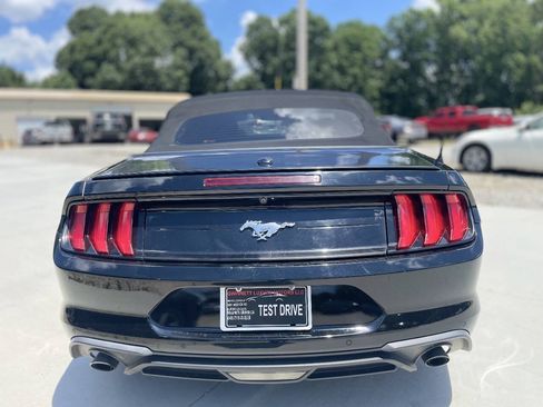 Used 2019 Ford Mustang Premium w/ Equipment Group 201A RWD image 6
