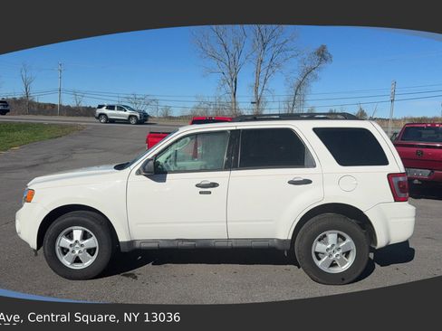 Used 2009 Ford Escape XLT image 4