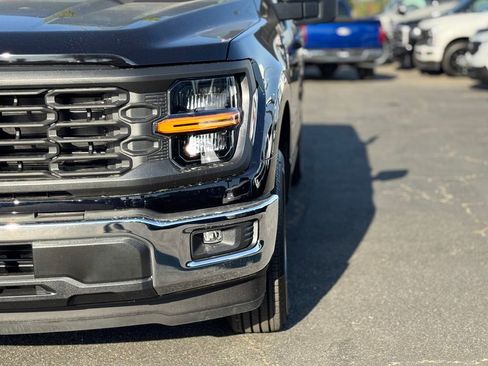 New 2026 Ford F150 XL w/ Equipment Group 103A High RWD image 7