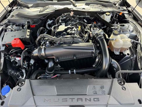 Used 2024 Ford Mustang Premium RWD image 8