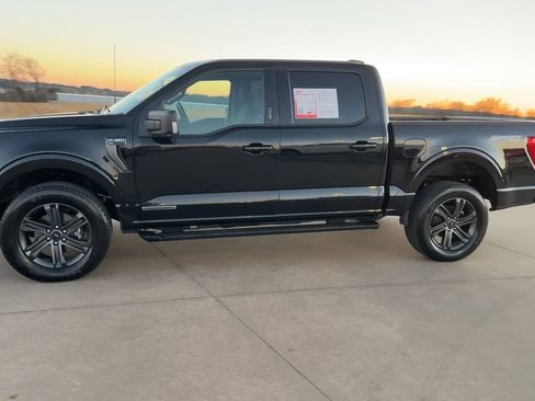 Used 2023 Ford F150 XLT w/ Equipment Group 302A High image 4