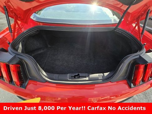 Used 2021 Ford Mustang Coupe w/ Equipment Group 101A image 29