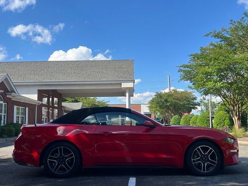 Used 2019 Ford Mustang Premium RWD image 6