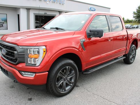 Used 2023 Ford F150 XLT w/ Equipment Group 302A High AWD/4WD image 2