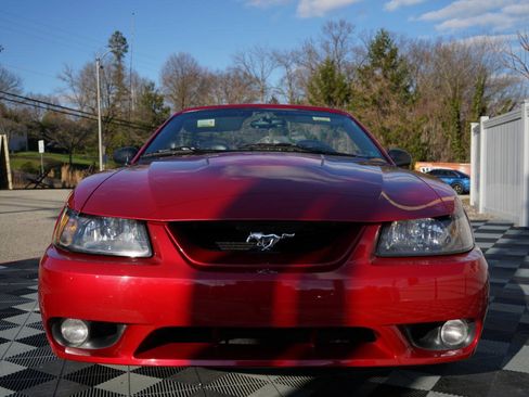 Used 2001 Ford Mustang Cobra image 15