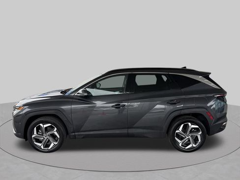 Used 2024 Hyundai Tucson Limited AWD/4WD image 5