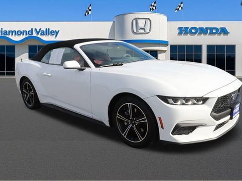 Used 2024 Ford Mustang Premium image 1