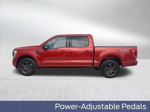 Used 2023 Ford F150 XLT w/ Equipment Group 302A High AWD/4WD image 12