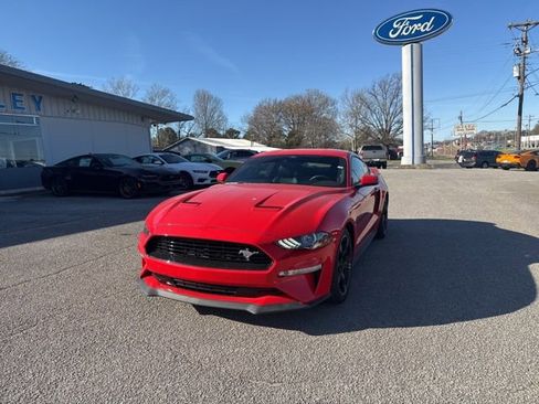 Used 2021 Ford Mustang GT Premium w/ Equipment Group 401A image 7
