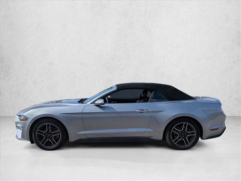 Used 2023 Ford Mustang Premium w/ Equipment Group 201A RWD image 4