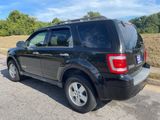 Used 2008 Ford Escape XLT image 4