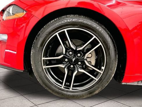 Used 2018 Ford Mustang Premium w/ Equipment Group 201A RWD image 8