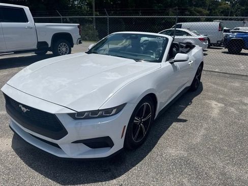 Used 2025 Ford Mustang Premium RWD image 1