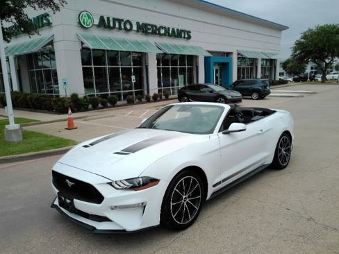 Used 2021 Ford Mustang Premium w/ Equipment Group 201A RWD image 1